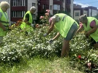 В Луганске стартовало обновление клумб