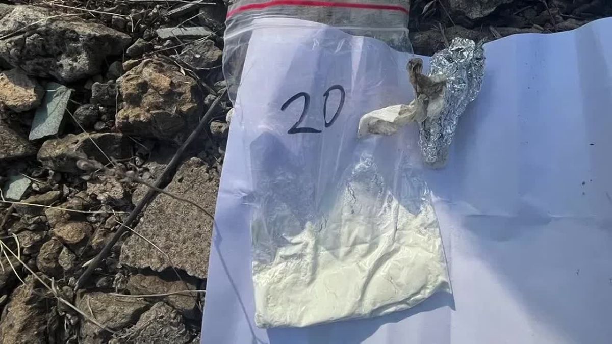 Полицейские Красного Луча задержали подозреваемого в покушении на сбыт наркотиков в крупном размере