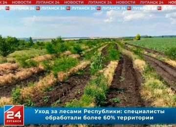 Уход за лесами Республики: специалисты обработали более 60% площадей от годового плана