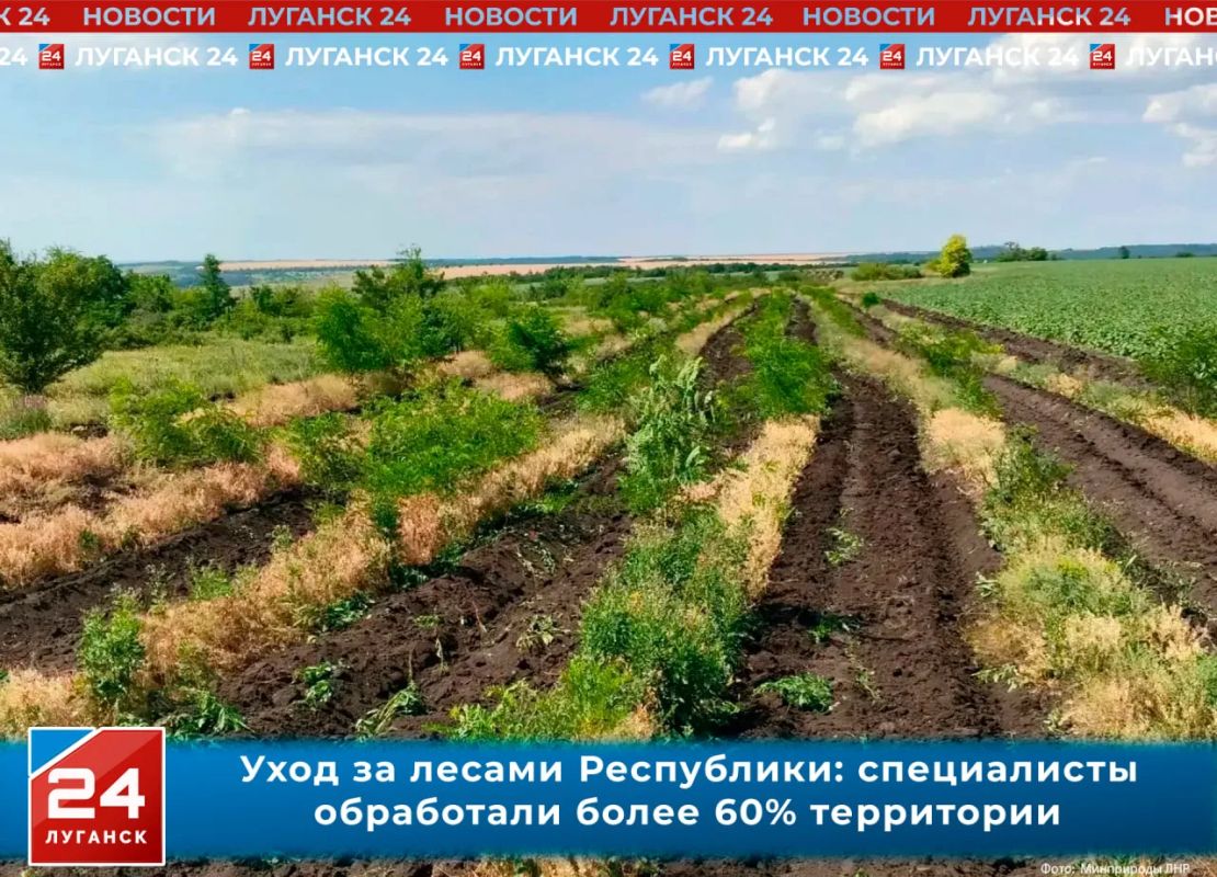 Уход за лесами Республики: специалисты обработали более 60% площадей от годового плана
