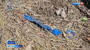 В Алчевске подростки подорвались на гранате, найденной в заброшенном здании
