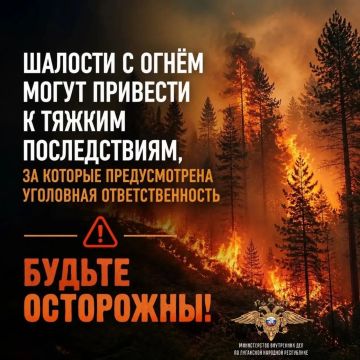 МВД по Луганской Народной Республике напоминает, что в некоторых случаях шалость с огнём может привести к тяжким последствиям, за которые предусмотрена уголовная ответственность