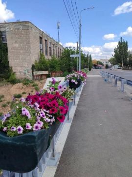 Еще один мост Луганска украсили подвесные кашпо с петуньями
