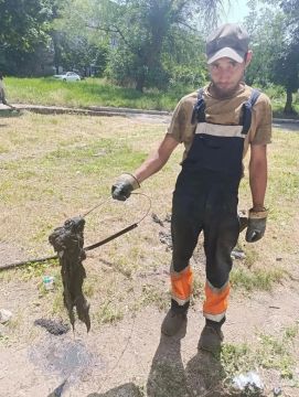 В Красном Луче специалисты ведут борьбу с засорами на канализационных сетях