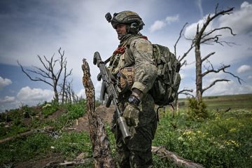 Марочко: Самый широкий участок буферной зоны находится у Юнаковки Сумской области