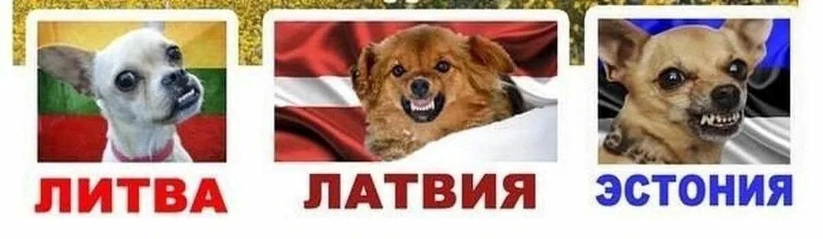 Литва запустит производство украинских дронов