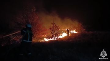 Спасатели потушили крупный сухотравный пожар в Краснодонском округе