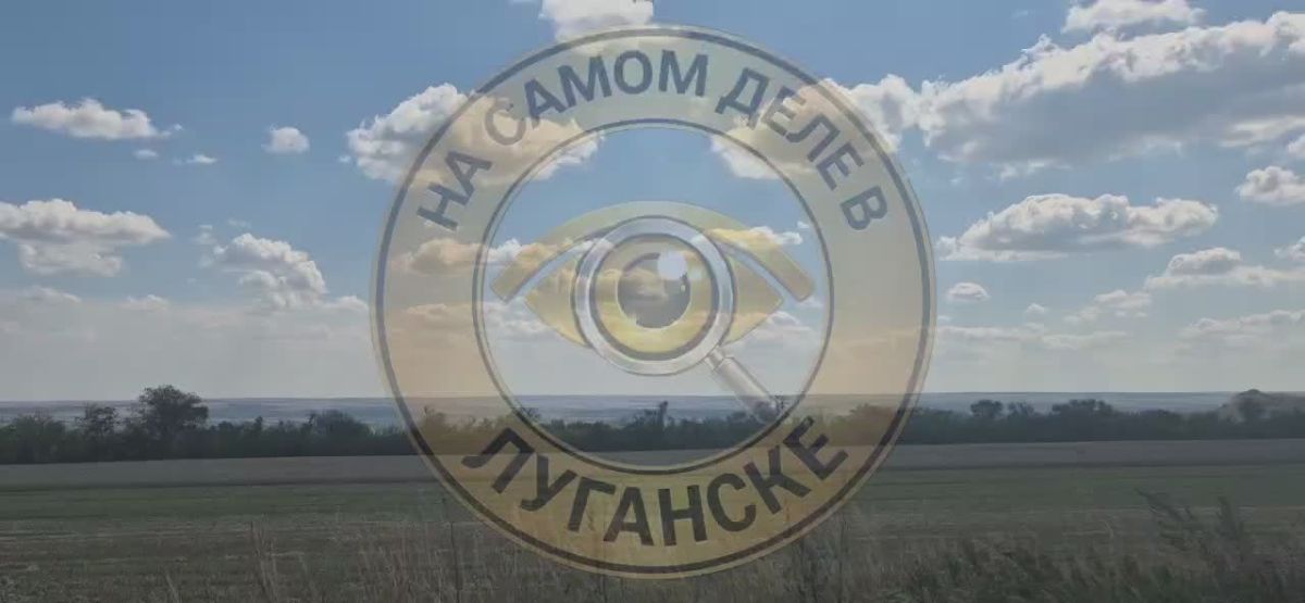 7 августа в ЛНР ожидается сильная жара — до +42°