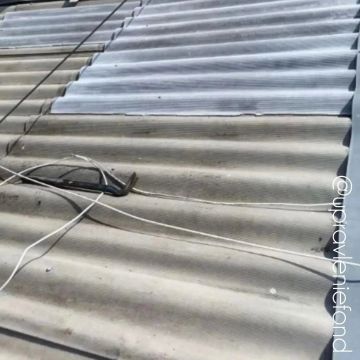��������� ������ �������� ������ ����� ��� �� �������� ��������