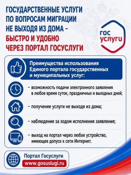 Государственные услуги по вопросам миграции не выходя из дома