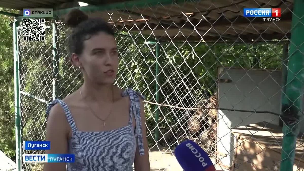 Трогательная новость: львица Сима уверенно идёт на поправку!