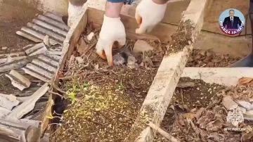 Герои среди нас!. Они не носят плащей, а надевают форму и отправляются спасать и помогать каждому из нас! Админ рекомендует подписаться на канал "Правда за нами": канал про героев, которые рядом с вами каждый день!...
