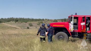 В Красном Луче потушили крупный ландшафтный пожар: горело 11 гектаров