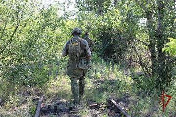 В ЛНР росгвардейцы обезвредили более 600 взрывоопасных предметов