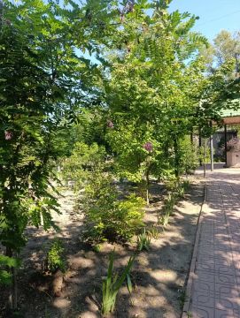 Депутаты оценивают заявки конкурса "Цветник у дома"