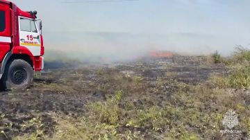 Крупный ландшафтный пожар ликвидирован в Красном Луче
