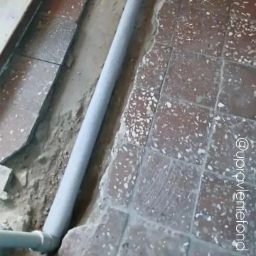 ������������ ������ �������� ����������� �������� ������� � ����� �� ��� ������ �������