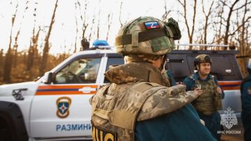 За прошедшие сутки в ЛНР ликвидировали 16 пожаров
