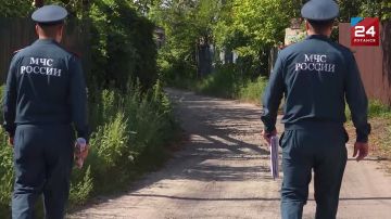 Пламя бушует: больше 2 тысяч пожаров произошло в ЛНР с начала года