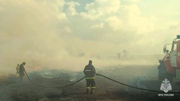 Огонь на подступах к домам: спасатели больше 5 часов держали оборону в Энгельсово