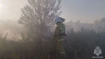 За прошедшие сутки в ЛНР ликвидировали 24 пожара