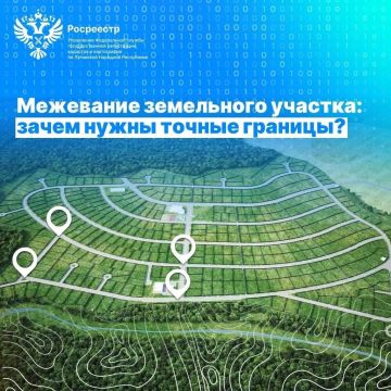 Зачем межевать участок и где это сделать в ЛНР