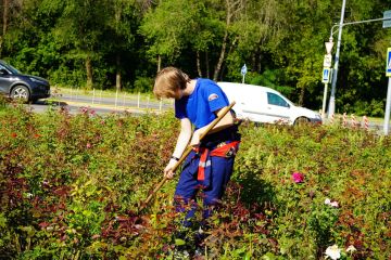 Добрые дела объединяют. В Луганске продолжается совместная работа по наведению порядка на городских территориях