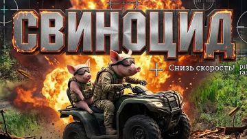 Владислав Шурыгин: Свиноцид идет по плану. Спонсоры удобрения земли ребята из 1234 мсп ЛУГАНСКИЙ СВЯЗНОЙ