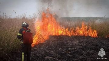 За прошедшие сутки в ЛНР ликвидировали 11 пожаров