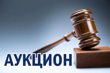 Аукцион по продаже земельных участков из государственной собственности ЛНР