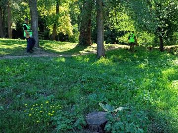 В Луганске продолжается третья волна покоса парков и скверов