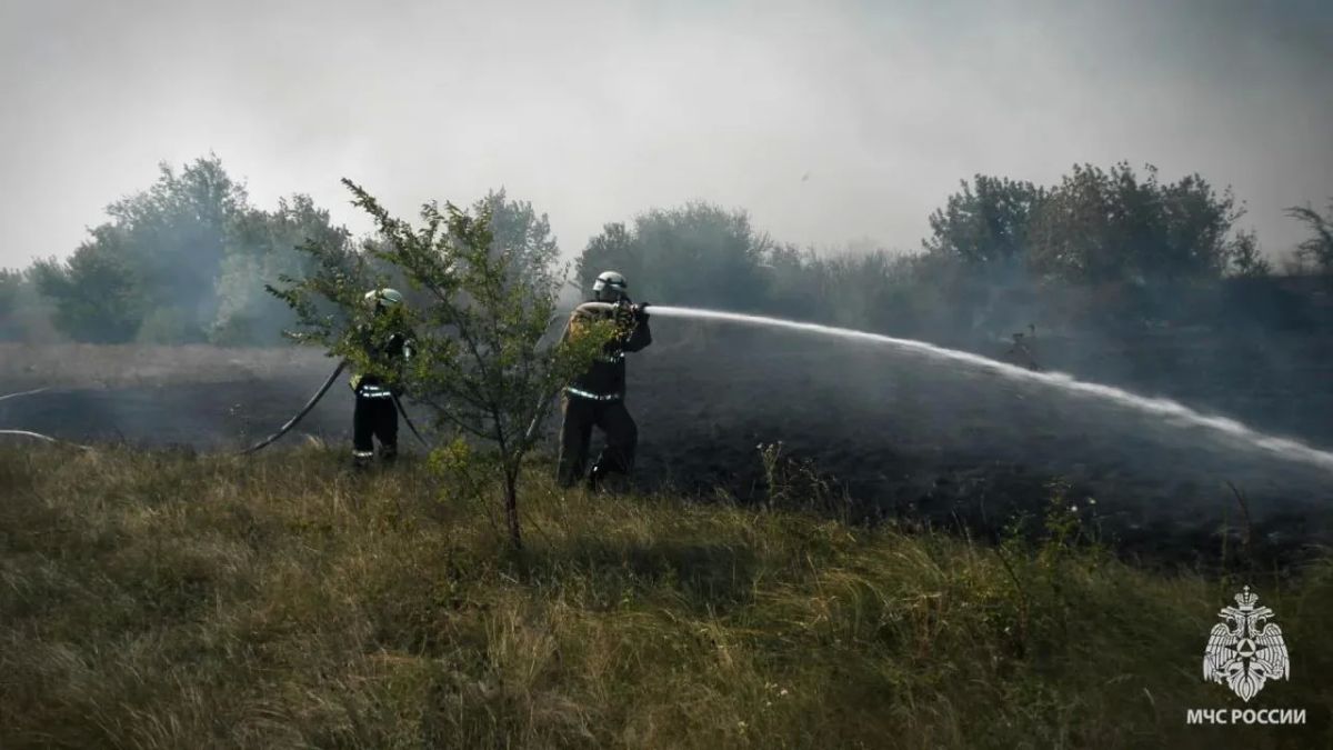 Ландшафтные пожары в ЛНР: за сутки выгорело более 40 гектаров