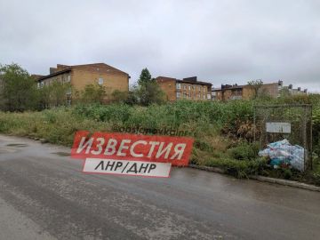 Амброзия в человеческий рост — жители Луганска жалуются на заросли опасного сорняка