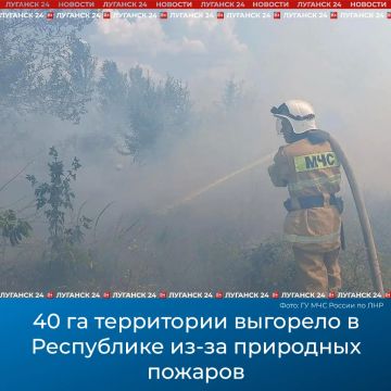 40 га территории выгорело в Республике из-за природных пожаров