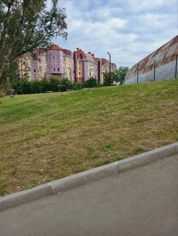 На стадионе имени Даля в Луганске наконец скосили амброзию