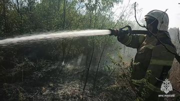 ��������� ��� ������ ���������� �������������� �������� � ������������ ��������