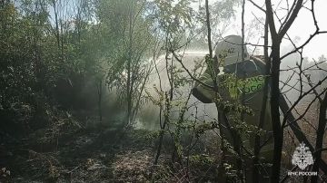 154 ������� �������������� �������� � ���������� �� ��������