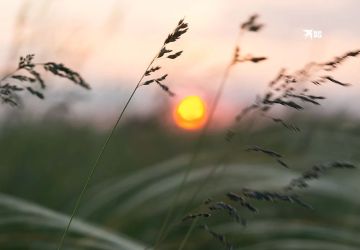 Погода в ЛНР на 31 августа: днём до +28°С, ночью прохладно, без осадков