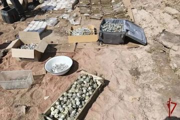 В ЛНР росгвардейцы обезвредили около 4 тысяч взрывоопасных предметов