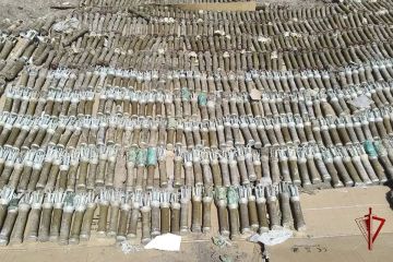 Росгвардейцы в зоне СВО обнаружили и уничтожили порядка 4 тысяч взрывоопасных предметов