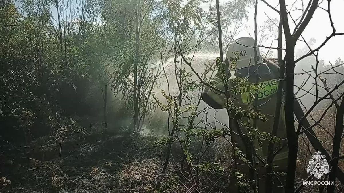 За выходные в ЛНР ликвидировали 54 пожара, 42 из них - ландшафтные