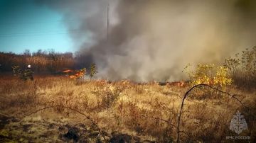 Природные пожары охватили 17 муниципалитетов Республики