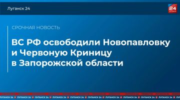 ВС РФ освободили Новопавловку и Червоную Криницу в Запорожской области – Минобороны России