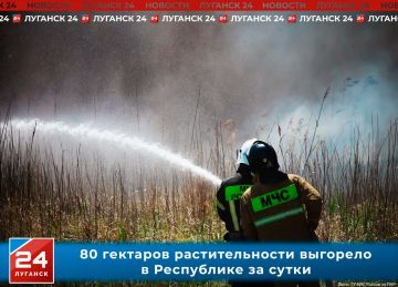 80 гектаров растительности выгорело в Республике за сутки