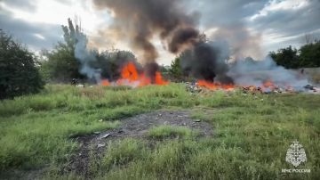 В Антраците спасатели остановили огонь у самых домов