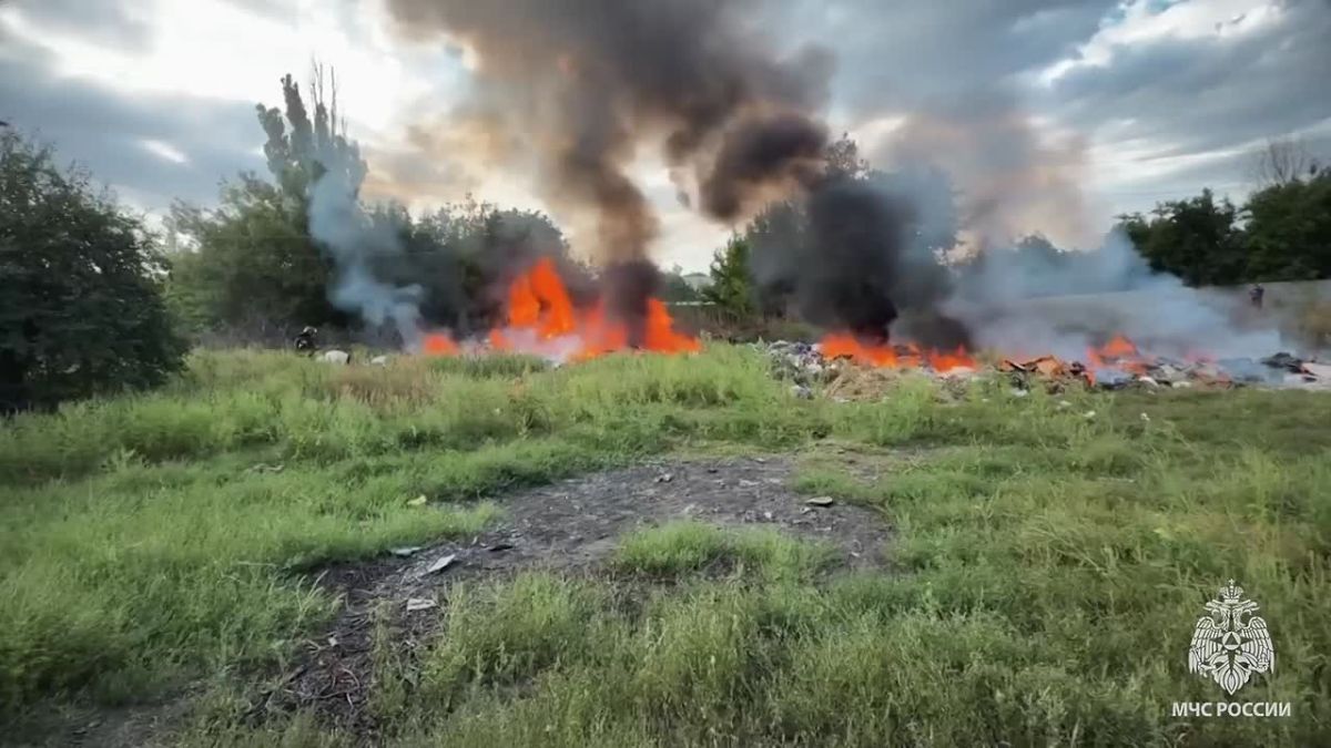 В Антраците спасатели остановили огонь у самых домов