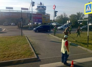 На улице Буденного продолжается покос зеленых зон