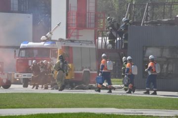 В ЛНР в прошедшие сутки тушили 24 пожара, сообщили в МЧС республики