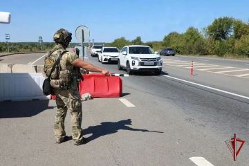 На блокпостах ЛНР за месяц задержали 38 человек по подозрению в преступлениях