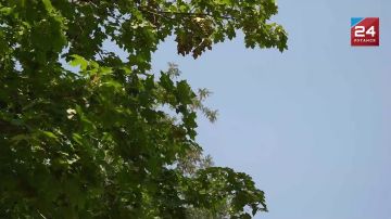Перекус в школу: что положить ребенку в ланч-бокс